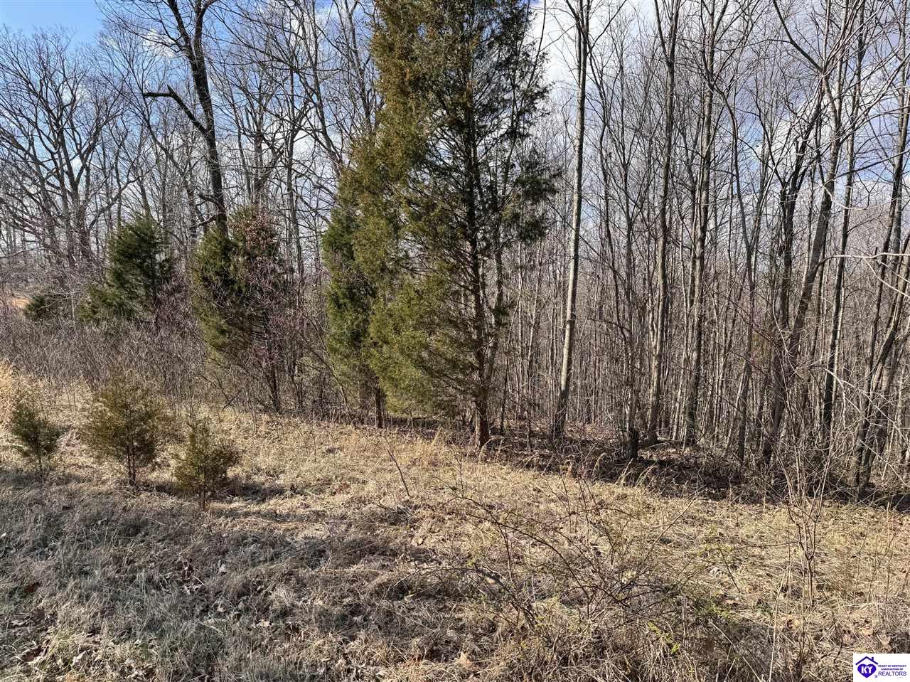 0 Cedar Flat Road Battletown, KY 40104 #3