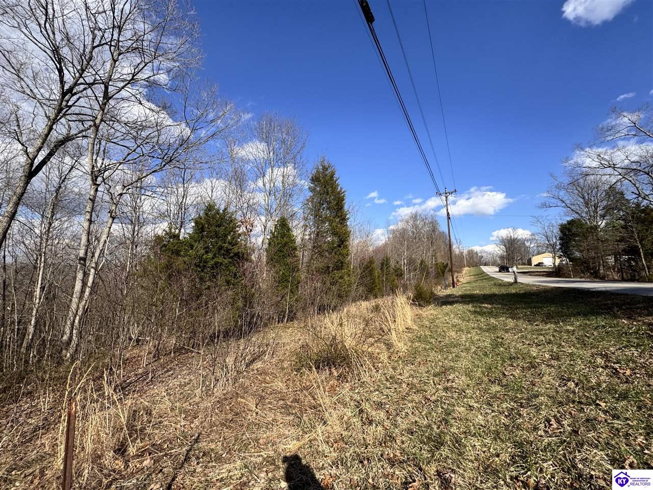 0 Cedar Flat Road Battletown, KY 40104 #4