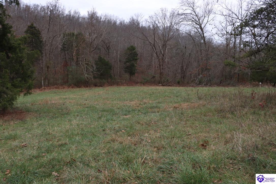 0 Fisher Ridge RoadHorse Cave,&nbsp;KY&nbsp;42749