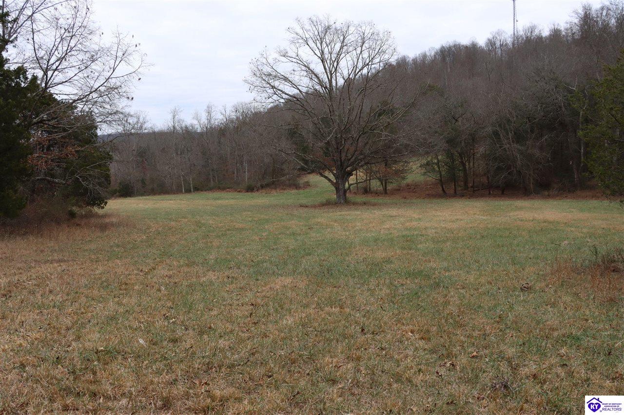 0 Fisher Ridge Road Horse Cave, KY 42749 #1