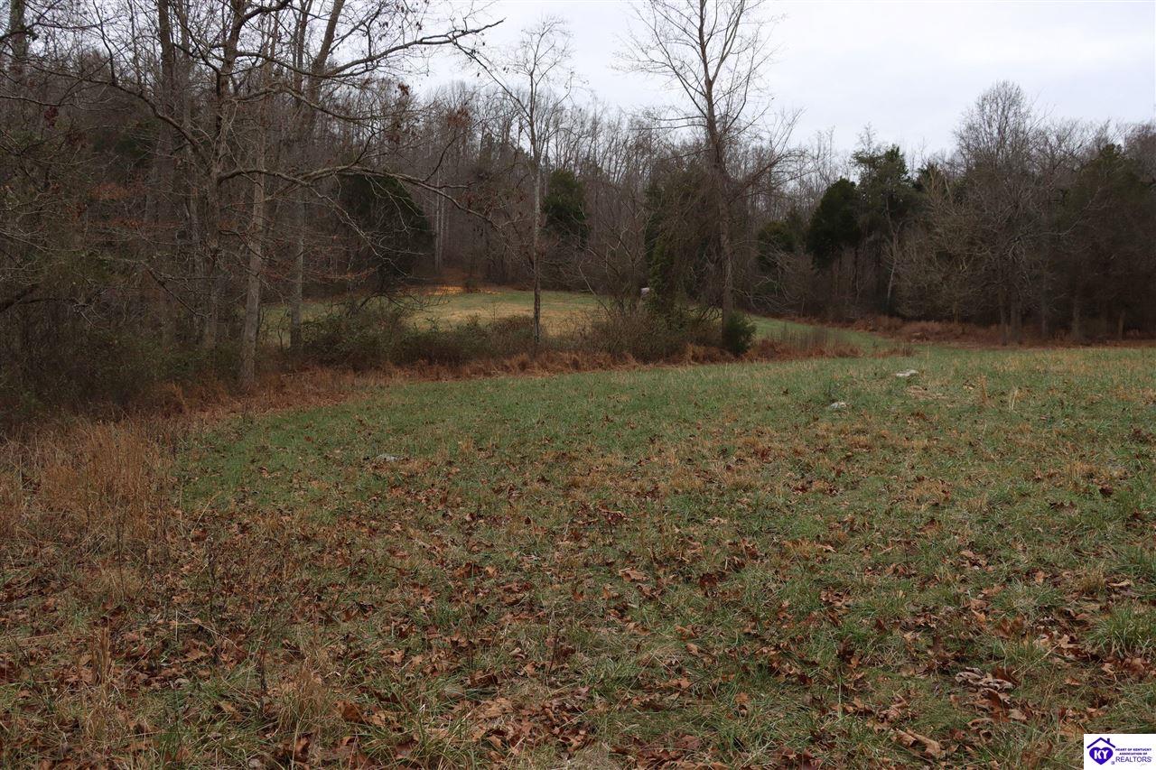 0 Fisher Ridge Road Horse Cave, KY 42749 #2