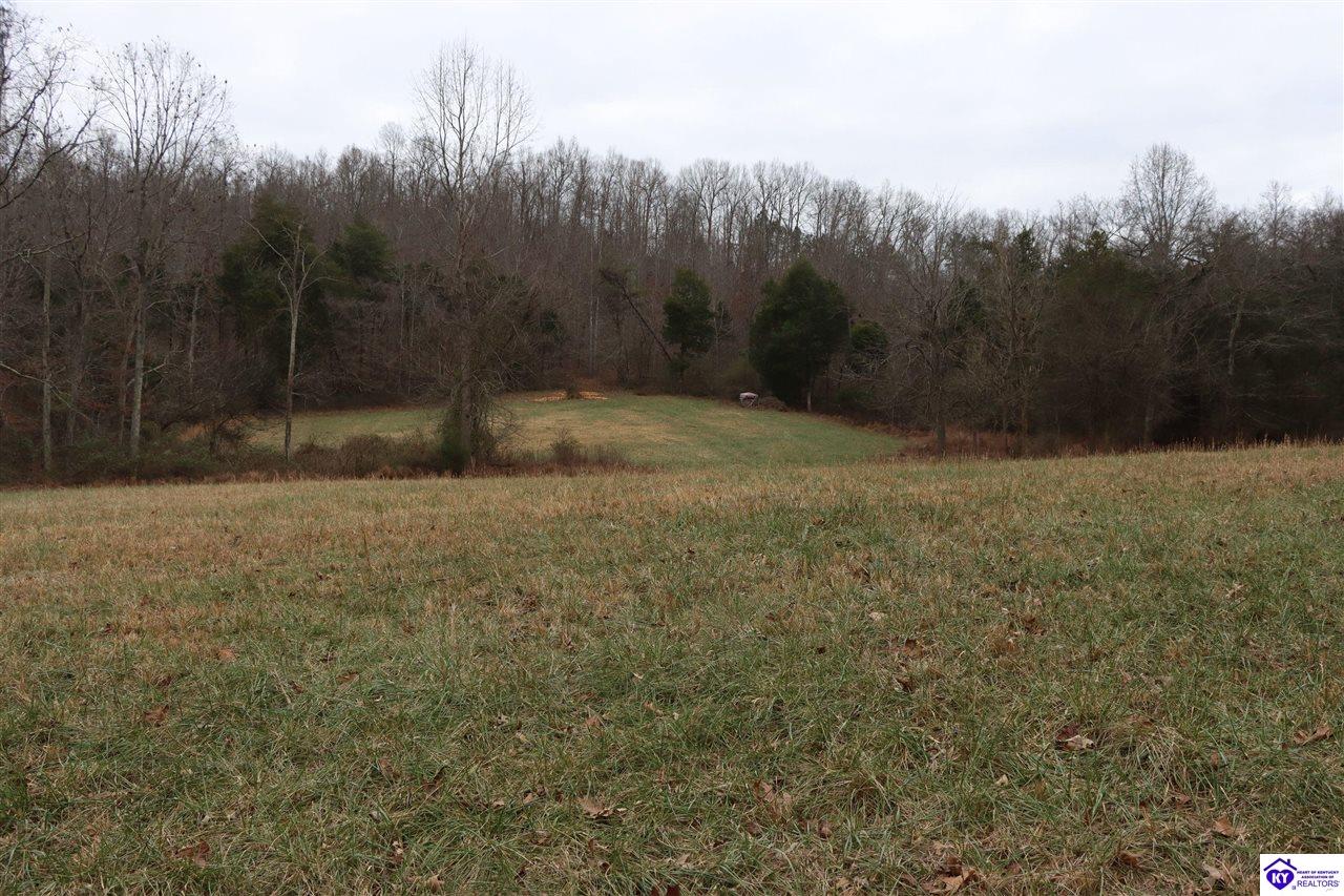 0 Fisher Ridge Road Horse Cave, KY 42749 #3