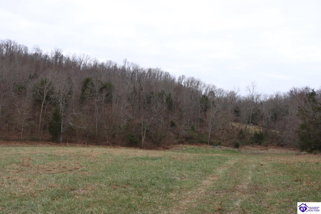 0 Fisher Ridge RoadHorse Cave,&nbsp;KY&nbsp;42749