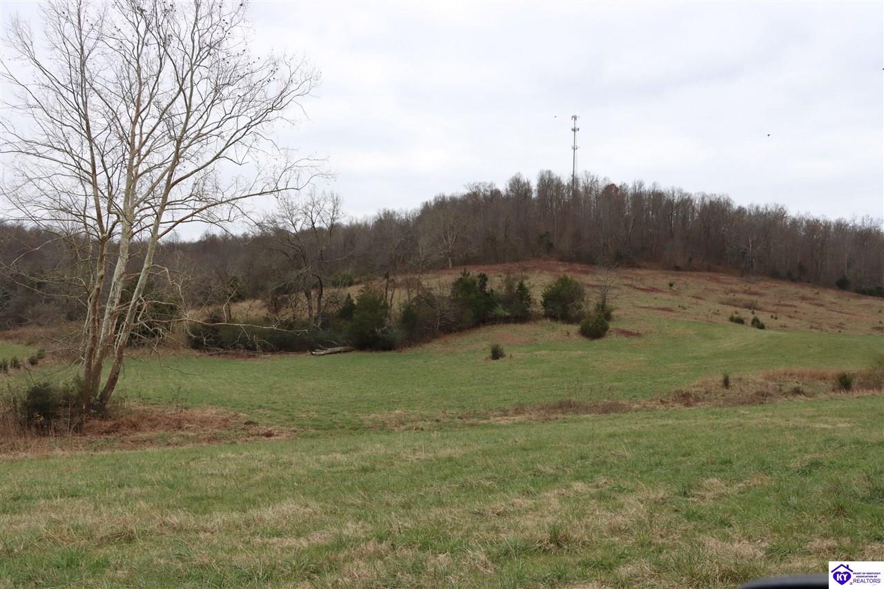 0 Fisher Ridge Road Horse Cave, KY 42749 #2
