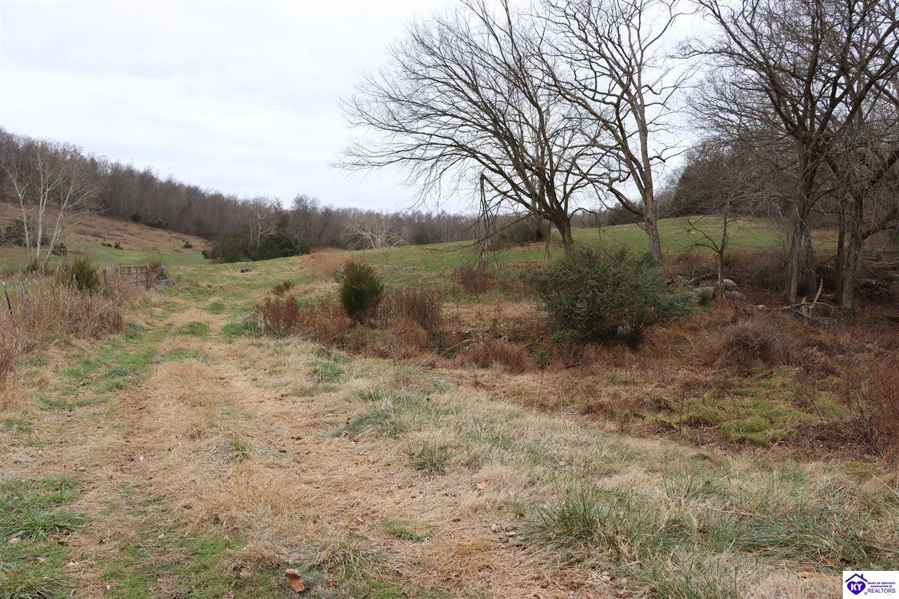 0 Fisher Ridge Road Horse Cave, KY 42749 #4