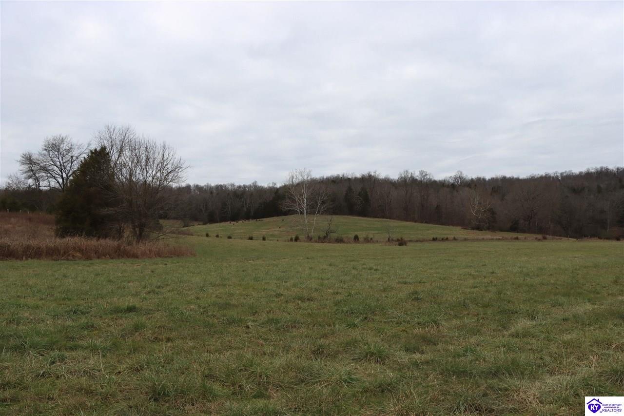 0 Fisher Ridge Road Horse Cave, KY 42749 #2