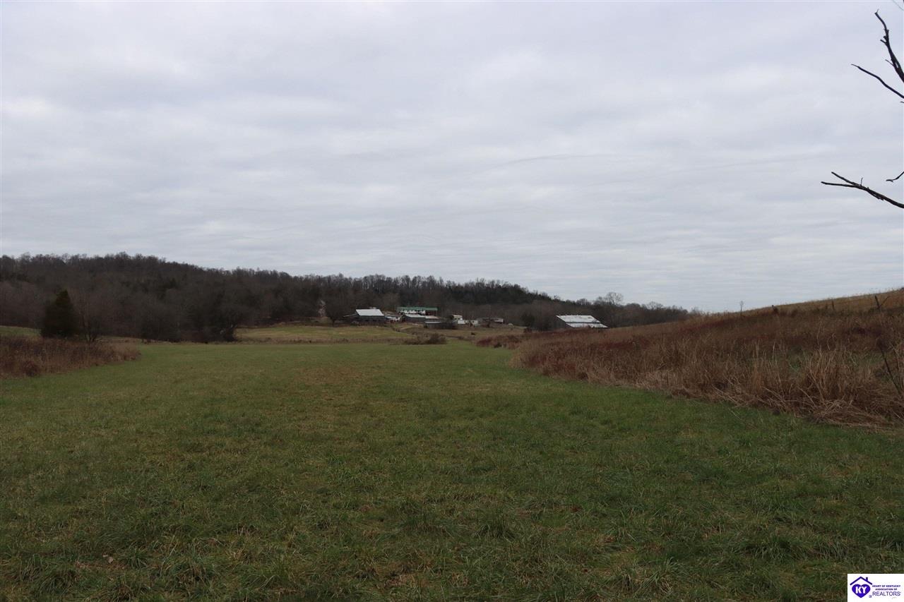 0 Fisher Ridge Road Horse Cave, KY 42749 #3