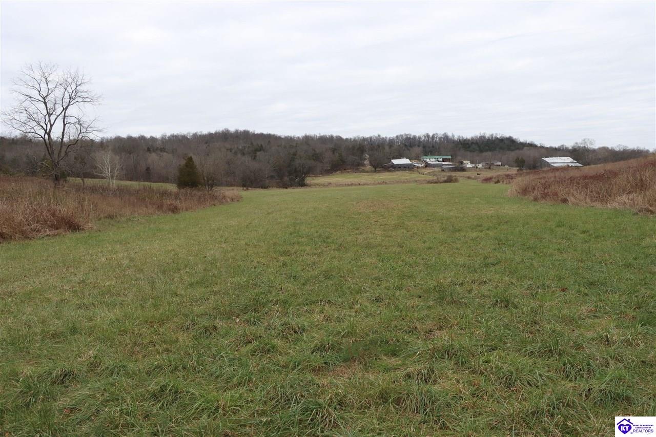 0 Fisher Ridge Road Horse Cave, KY 42749 #4