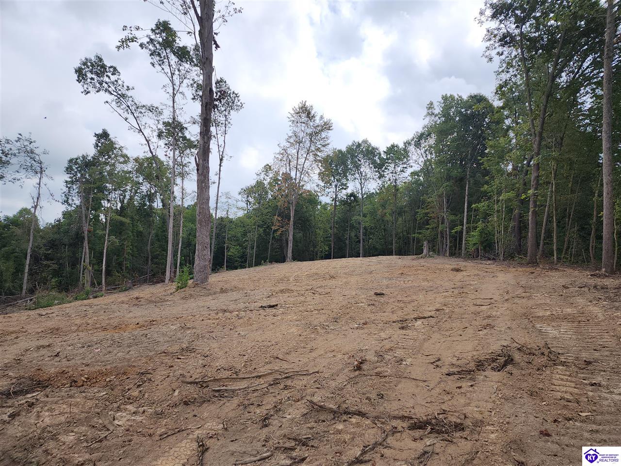 Tract 1 Leitchfield RoadCecilia,&nbsp;KY&nbsp;42724