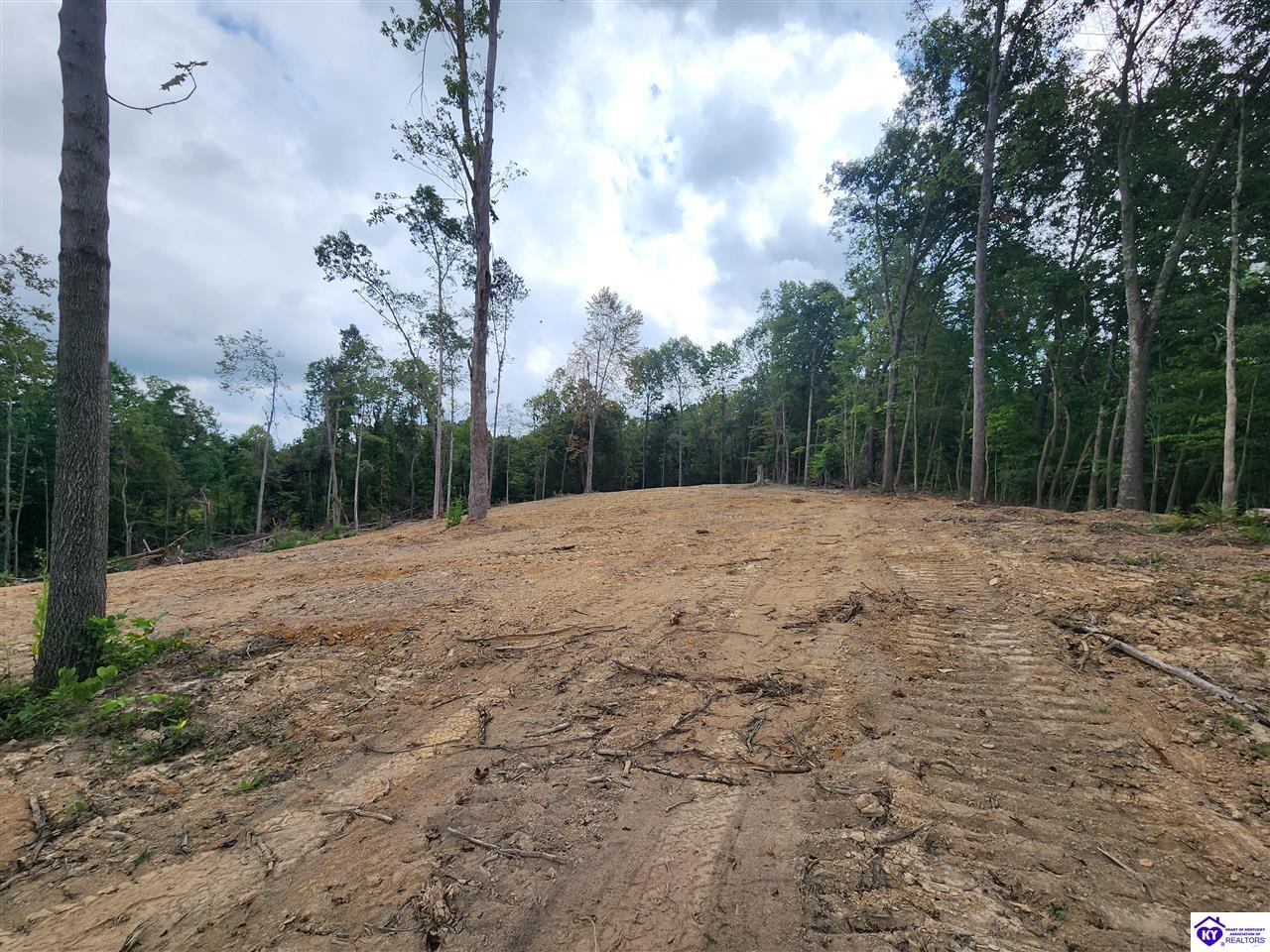 Tract 1 Leitchfield Road Cecilia, KY 42724 #1