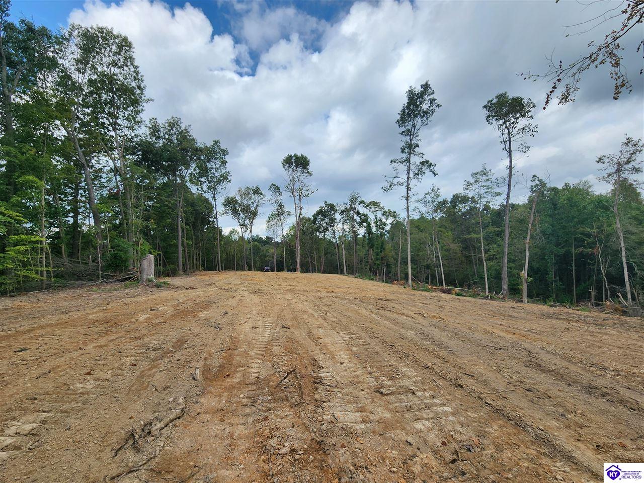 Tract 1 Leitchfield Road Cecilia, KY 42724 #2
