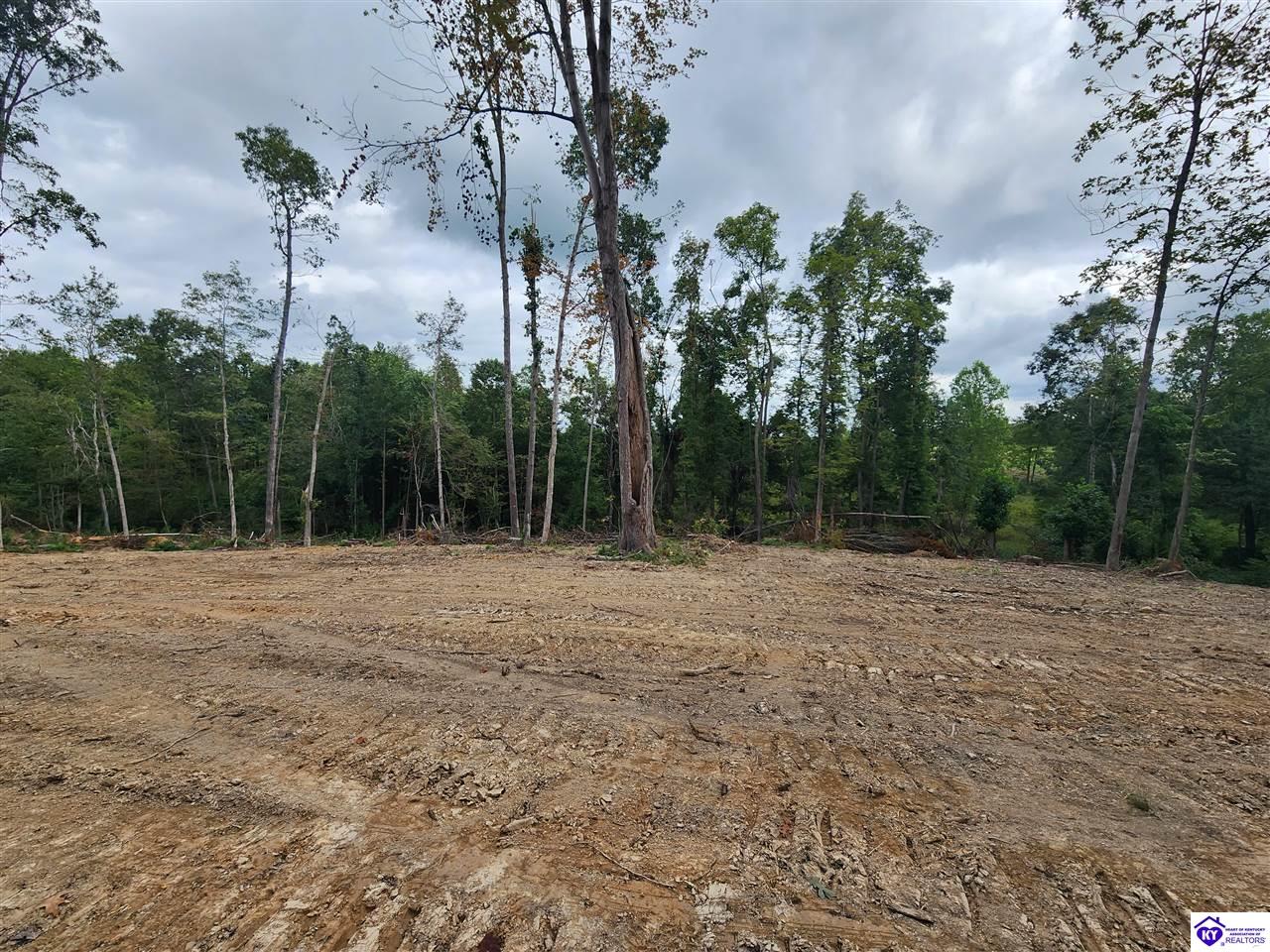 Tract 1 Leitchfield Road Cecilia, KY 42724 #3