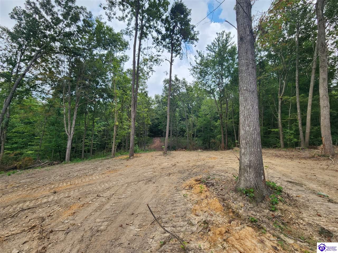 Tract 1 Leitchfield Road Cecilia, KY 42724 #4