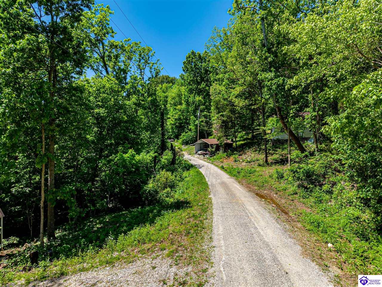 873 Pine Haven Road Clarkson, KY 42726 #1