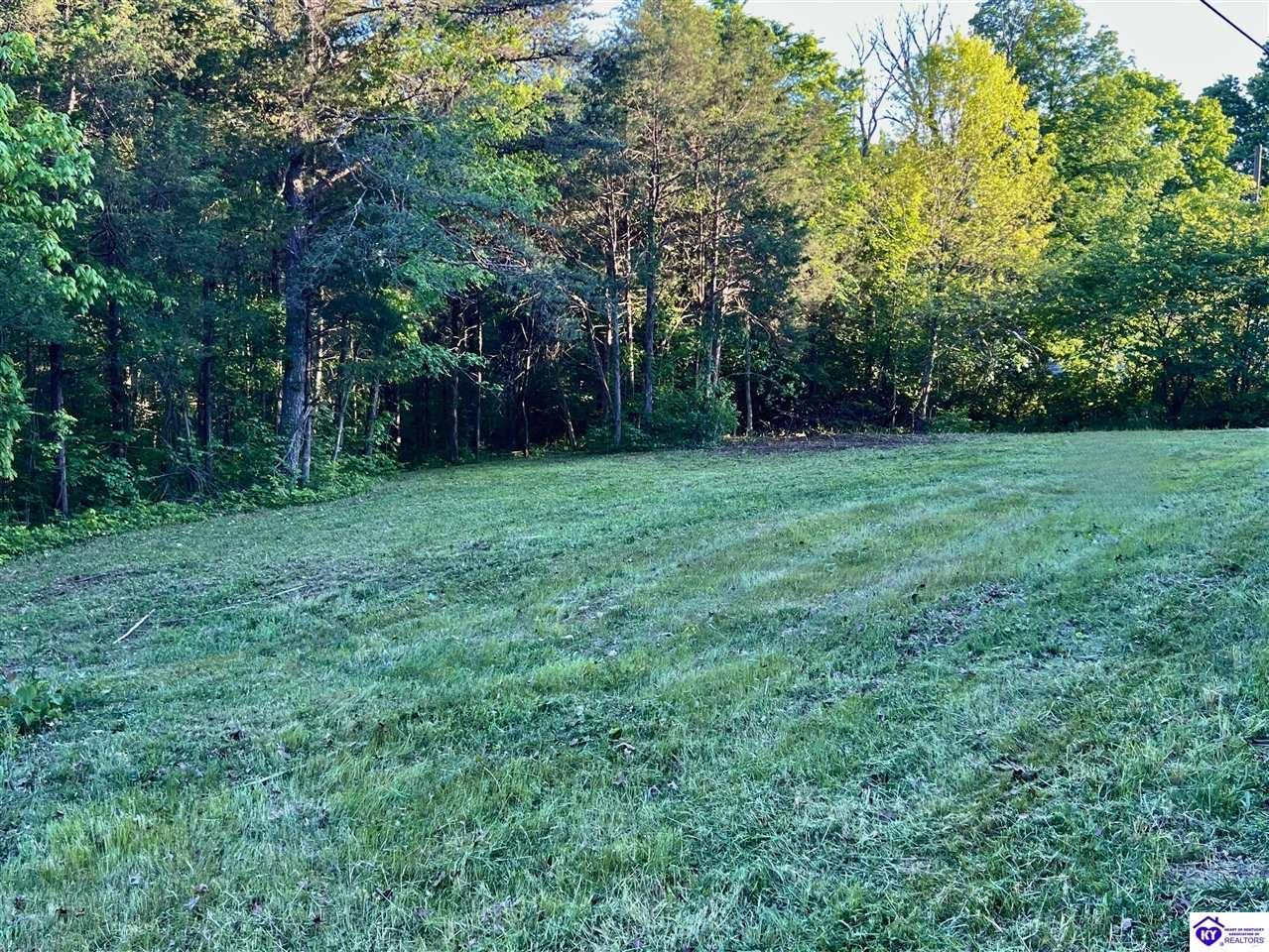 Lot 3 Robert Taylor LaneNew Haven,&nbsp;KY&nbsp;40051