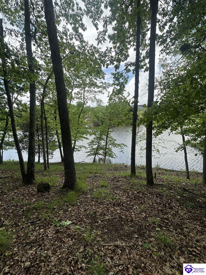 1 Lakeshore ParkwayBrandenburg,&nbsp;KY&nbsp;40108