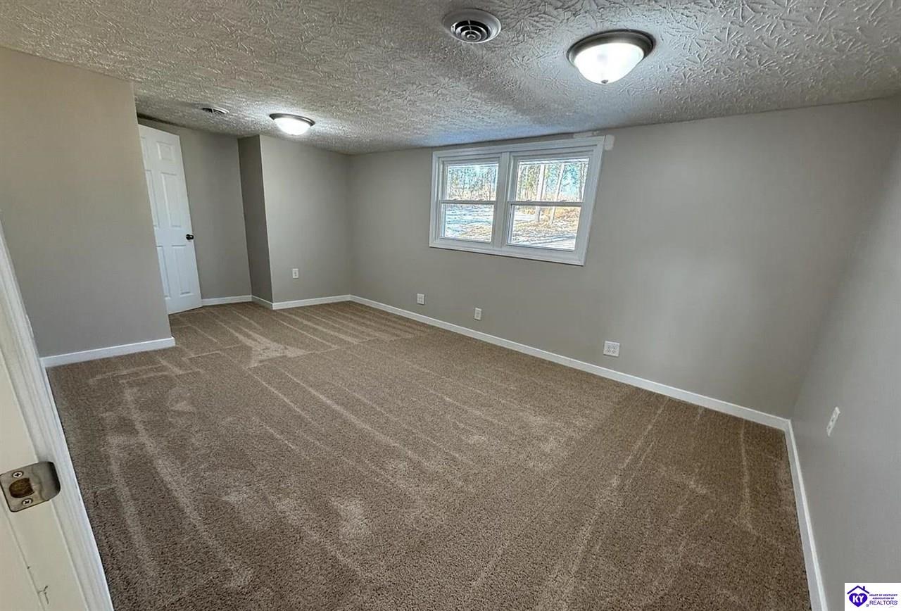 215 Meade Springs Road Brandenburg, KY 40108 #3