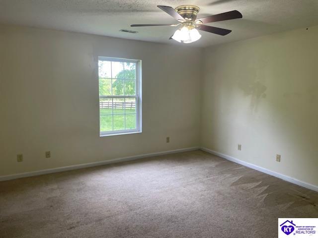 2146 Cecilia Smiths Mill Road Cecilia, KY 42724 #2