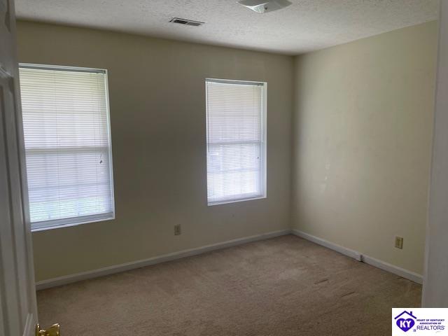 2146 Cecilia Smiths Mill Road Cecilia, KY 42724 #3