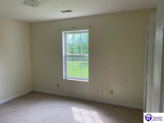2146 Cecilia Smiths Mill Road Cecilia, KY 42724 #4