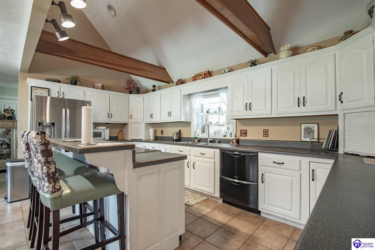 550 Dog Creek Road Cub Run, KY 42729 #4