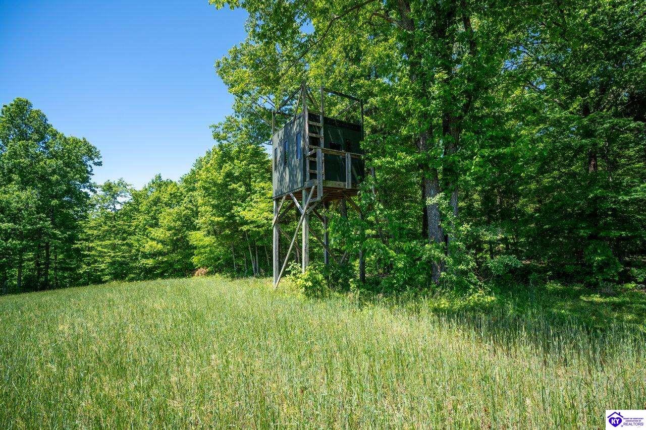 1228 McGrew Church Road Leitchfield, KY 42754 #3