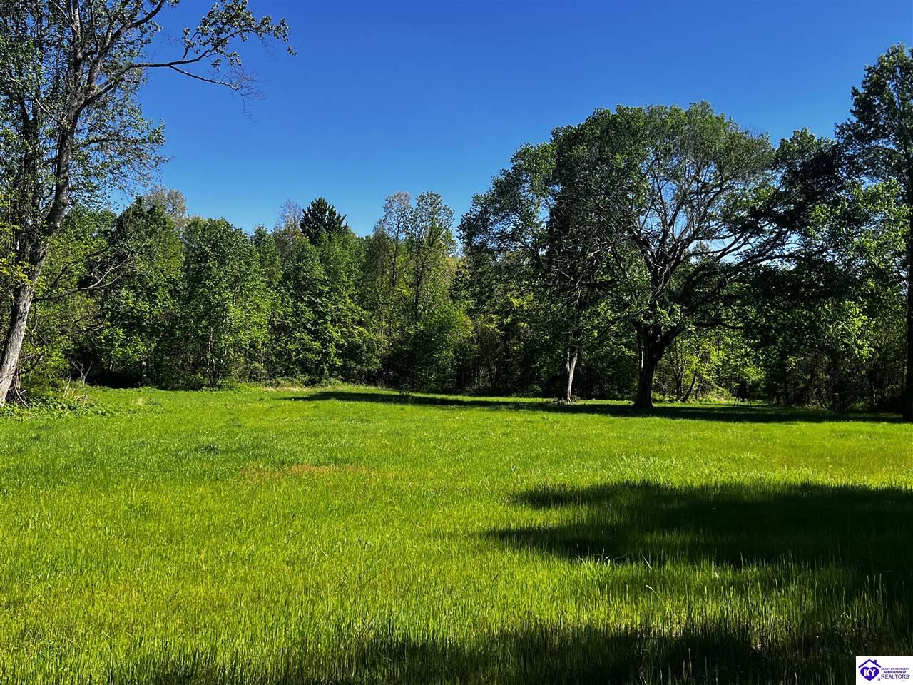 1000 DAWSON HOLLOW N RDBonnieville,&nbsp;KY&nbsp;42713
