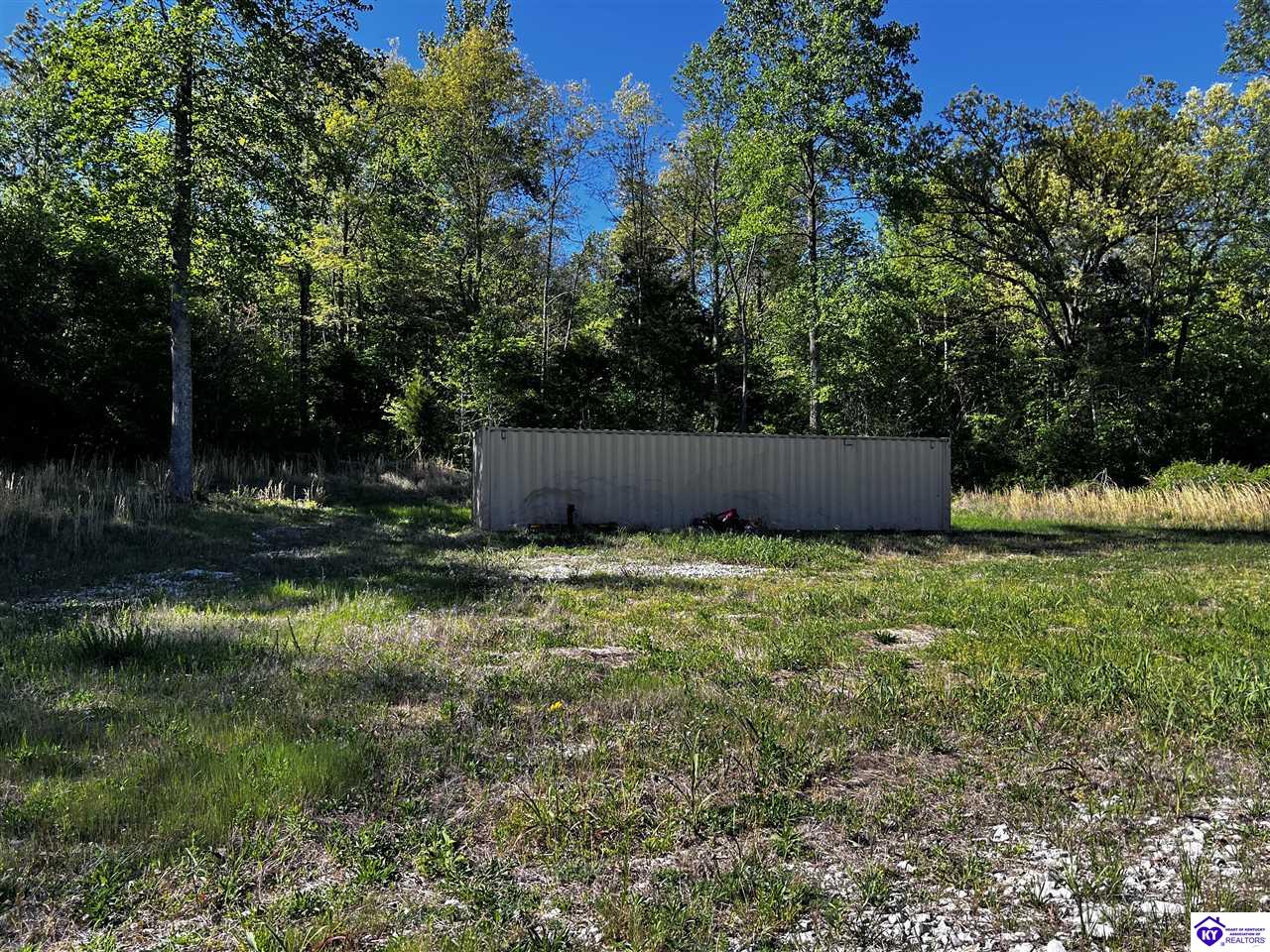 1000 DAWSON HOLLOW N RD Bonnieville, KY 42713 #1