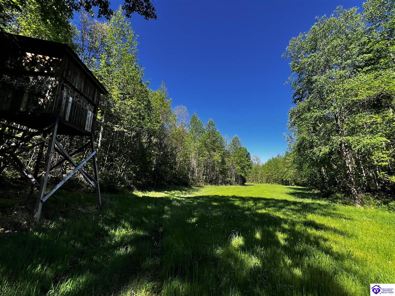 1000 DAWSON HOLLOW N RD Bonnieville, KY 42713 #2