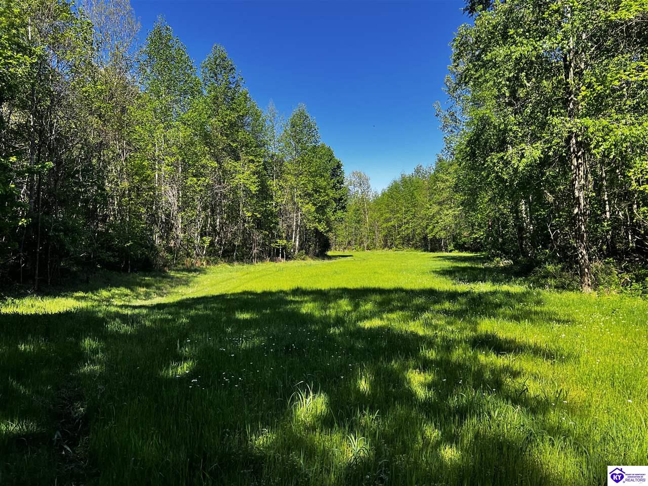 1000 DAWSON HOLLOW N RD Bonnieville, KY 42713 #3