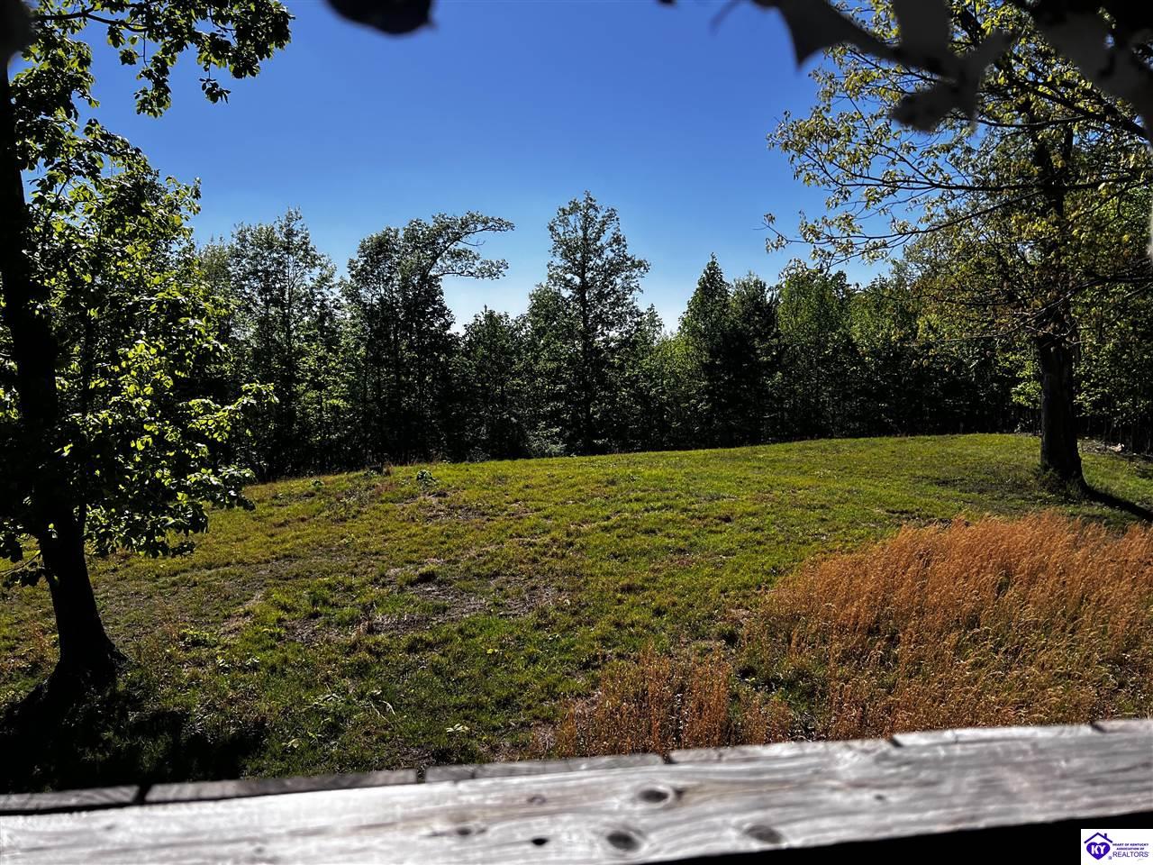 1000 DAWSON HOLLOW N RD Bonnieville, KY 42713 #4