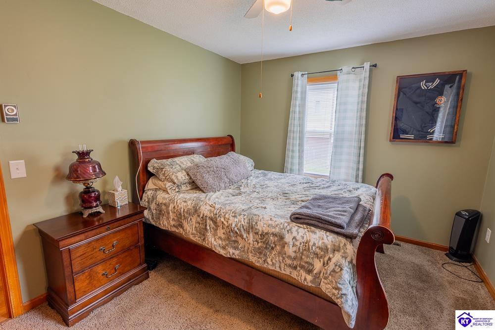 212 Greensburg Road Hodgenville, KY 42748 #4