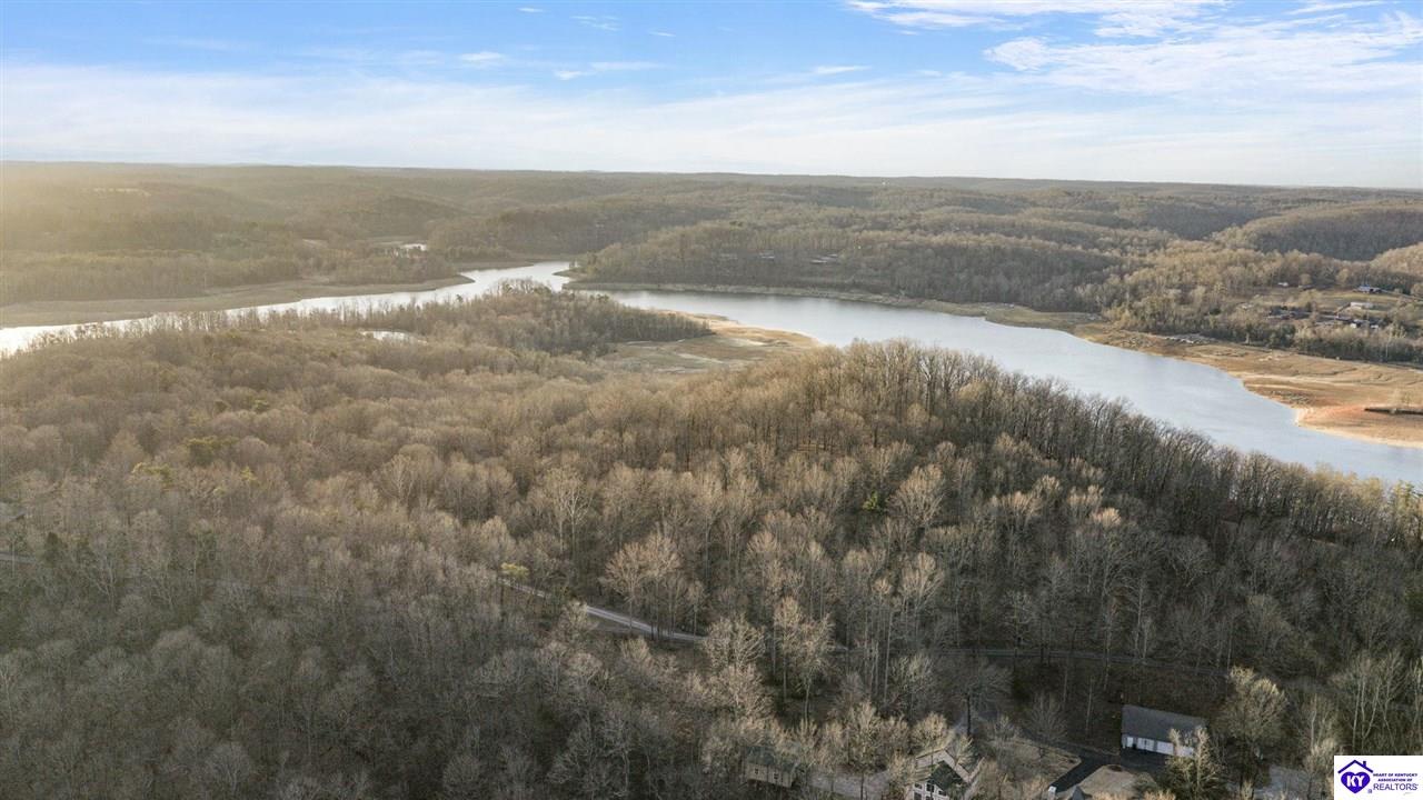 0 Sourwood Lane Bee Spring, KY 42207 #2