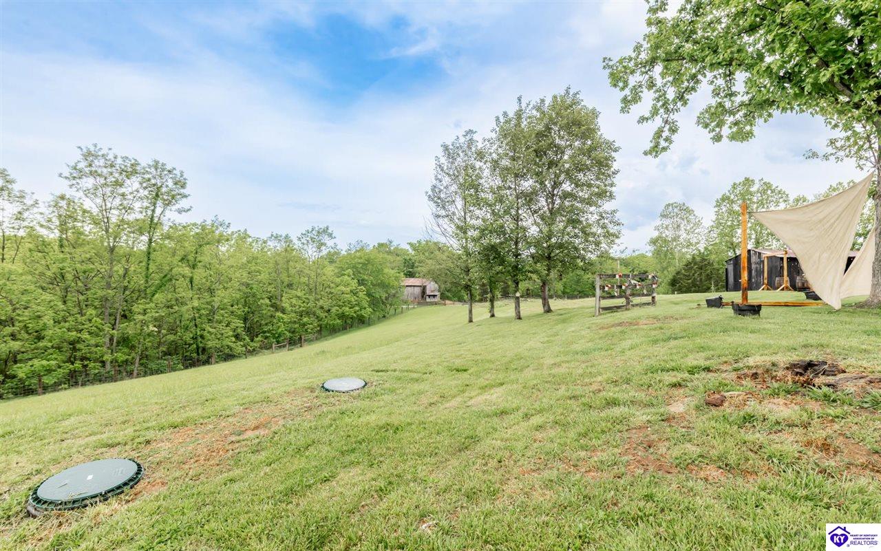 1485 Birdie Road Lawrenceburg, KY 40342 #4
