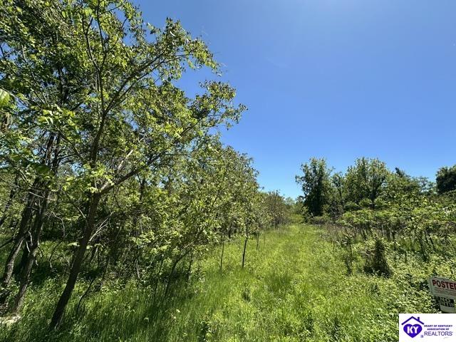 21.99 ac Jack Chappell Road Webster, KY 40176 #1