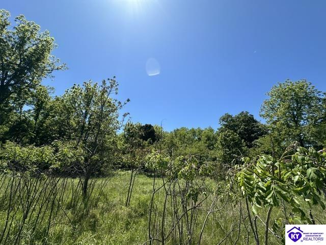 21.99 ac Jack Chappell Road Webster, KY 40176 #2