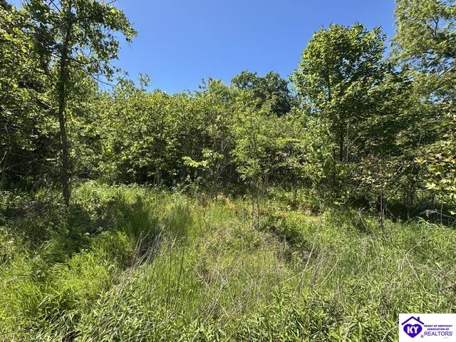 21.99 ac Jack Chappell Road Webster, KY 40176 #3