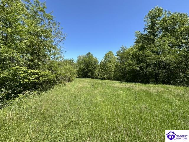 21.99 ac Jack Chappell Road Webster, KY 40176 #4