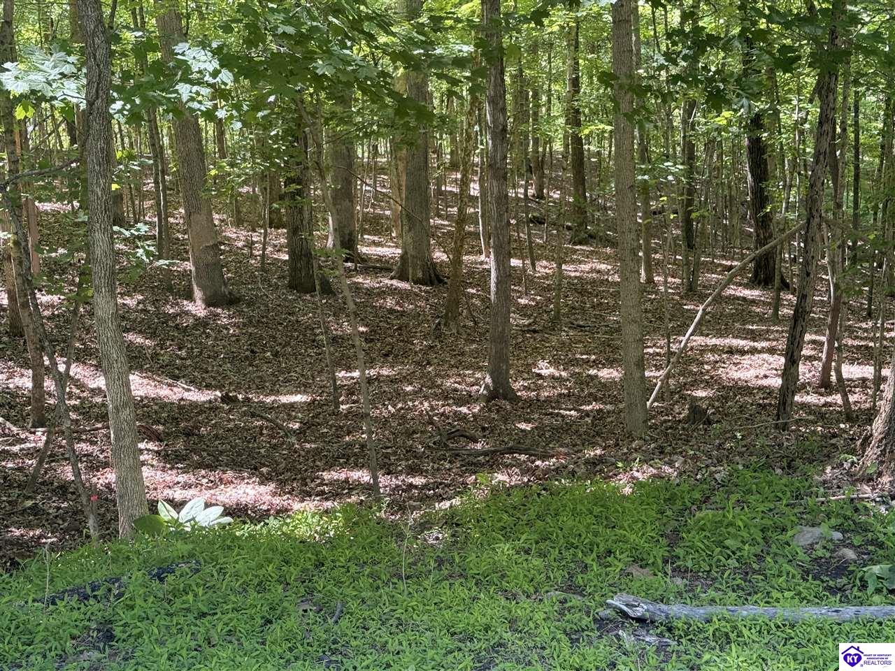 Lot 569 Raspberry CourtBrandenburg,&nbsp;KY&nbsp;40108