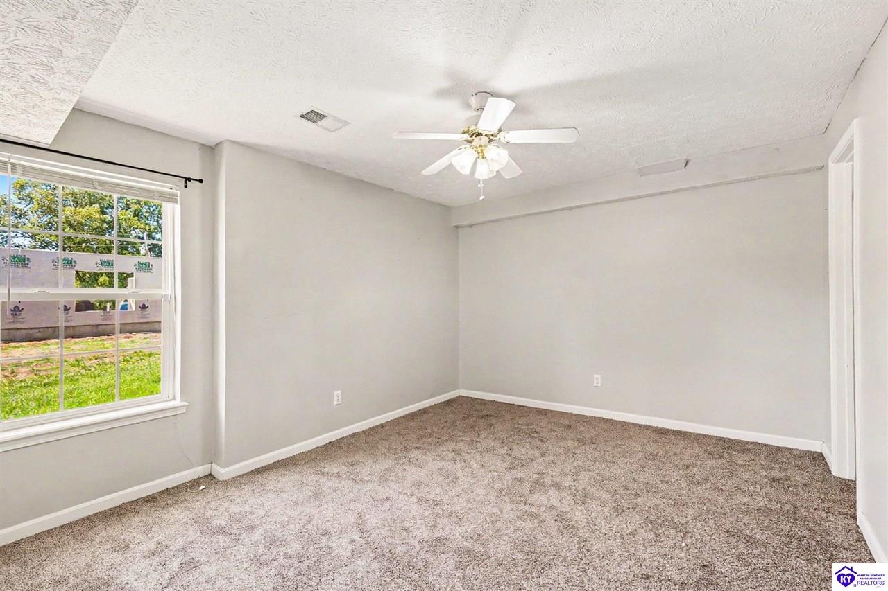 41 Rolling Ridge Court Brandenburg, KY 40108 #4