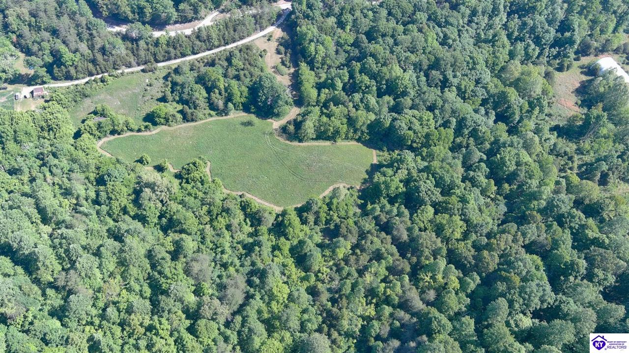 2327 Wright Lane Bonnieville, KY 42713 #4