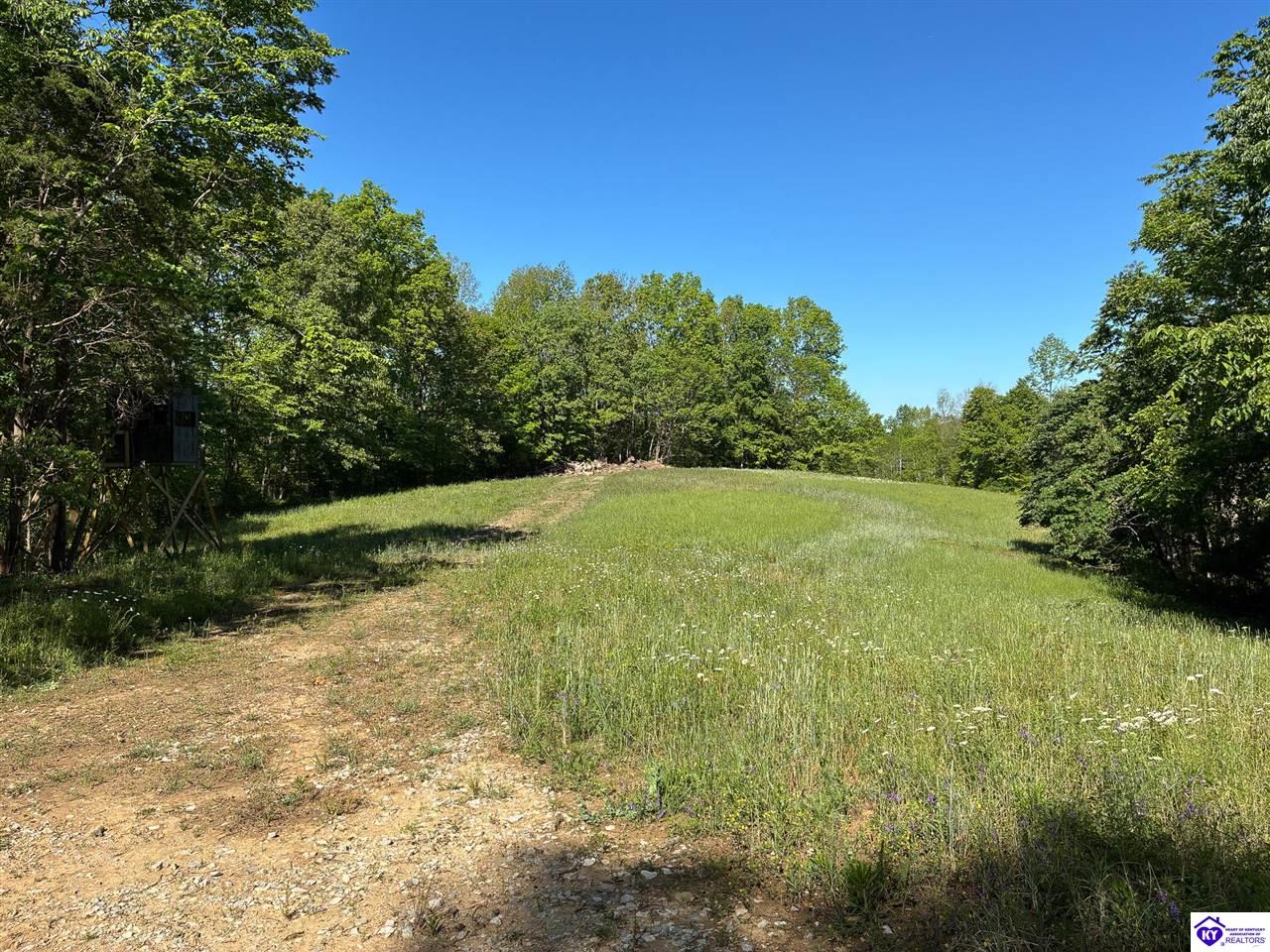 0 Die Shiboley Church RoadMagnolia,&nbsp;KY&nbsp;42757