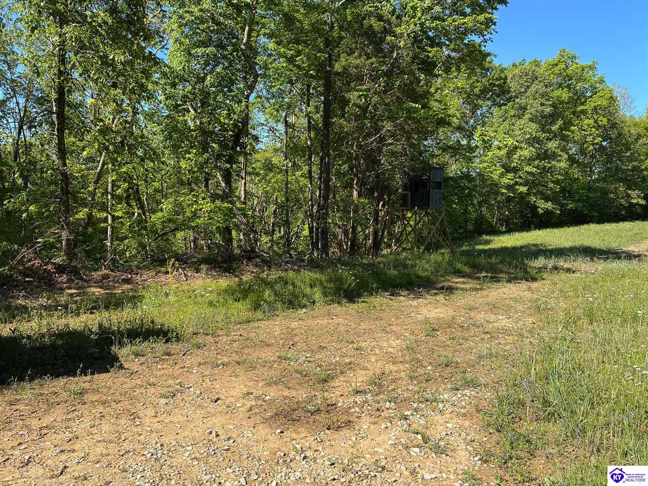 0 Die Shiboley Church Road Magnolia, KY 42757 #1