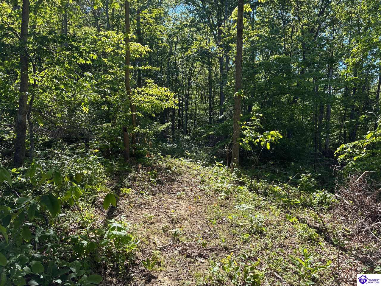 0 Die Shiboley Church Road Magnolia, KY 42757 #3