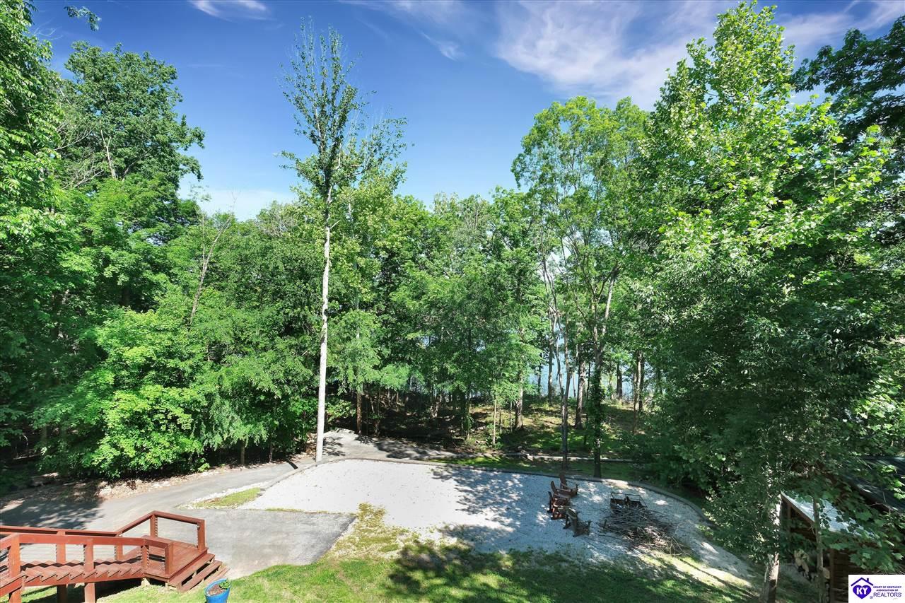 422 Lilac Lane Cub Run, KY 42729 #1