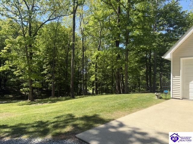 112 Cliff Top Drive Leitchfield, KY 42754 #3