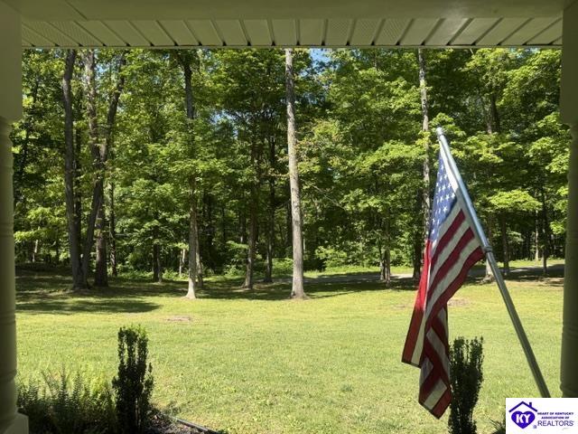 112 Cliff Top Drive Leitchfield, KY 42754 #4