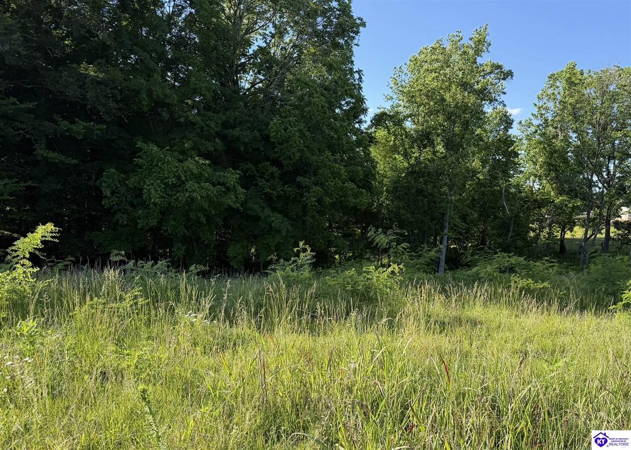 5342 Sparksville Road Columbia, KY 42728 #4