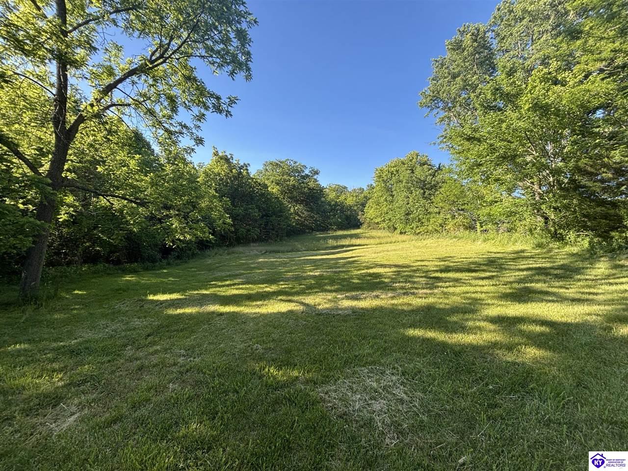 4574 Payneville Road Brandenburg, KY 40108 #1