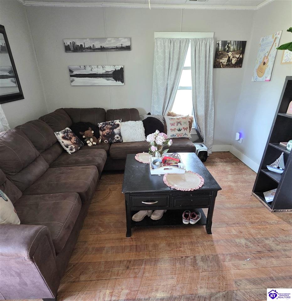 354 Eve Highway Magnolia, KY 42757 #2